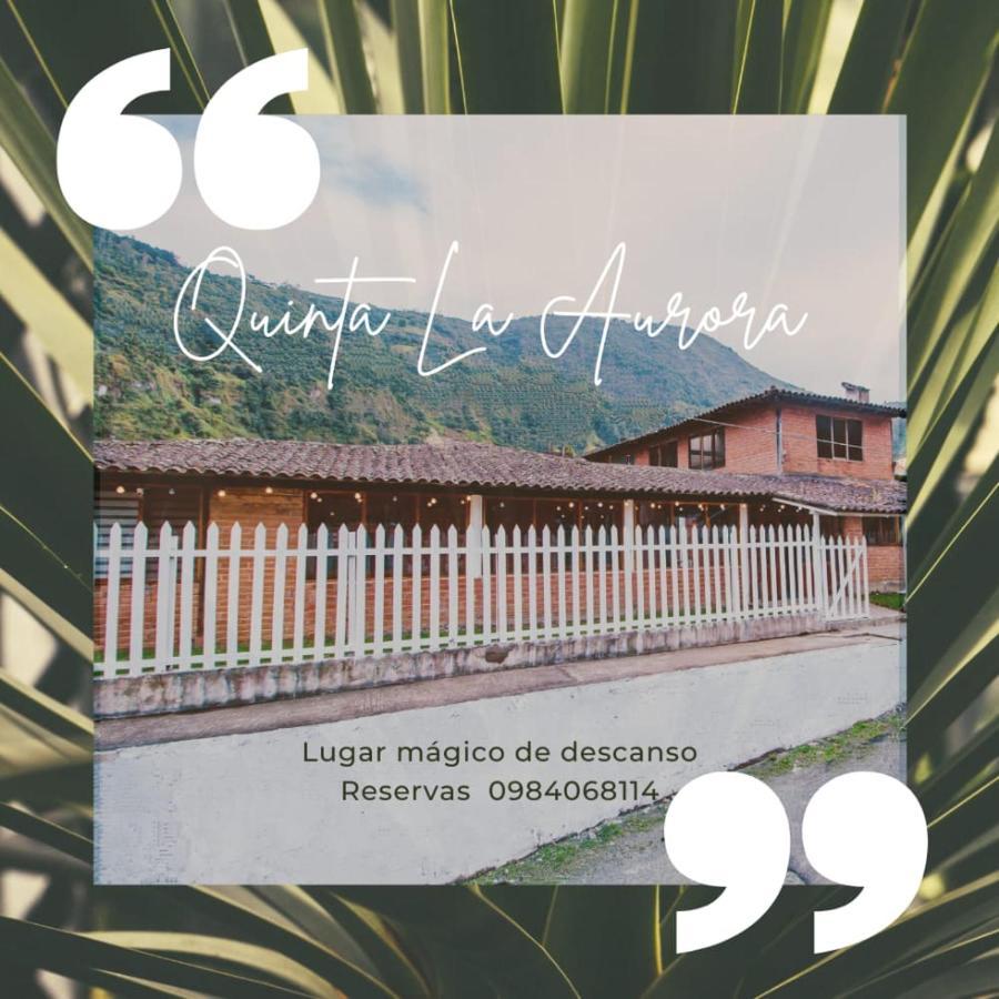 巴尼奥斯Rustic Quinta La Aurora住宿加早餐旅馆 外观 照片